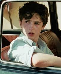 Where To Watch Call Me By Your Name Timothee Chalamet Call Me Timmy T