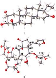 Image result for Trichilia prieuriana