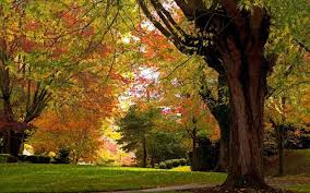 Herfst Wallpapers Herfstfoto S Achtergronden Herfst Landschap Wallpapers