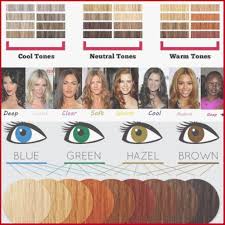 Cool Skin Tone Hair Color Chart Cool Skin Tone Hair Color
