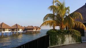 Sungai sepang kecil 2.53 km. The Water Chalets Picture Of Avani Sepang Goldcoast Resort Sungai Pelek Tripadvisor