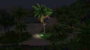When trying to grow any variety of palm at home, understanding the life cycle of a palm tree from germination through growth and flowering to fruit set is essential for a happy, healthy plant. My Sim Was Wandering Around Sulani At Night And I Saw These Lighted Palm Trees Is There Any Way To Get Those Palm Lights On My Lot I Ve Searched Build Buy Mode And