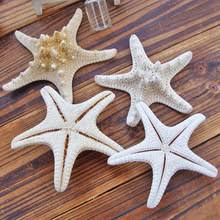Starfish decor, edgemead, western cape, south africa. Starfish Decoration Buy Starfish Decoration With Free Shipping On Aliexpress