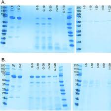 The only products that can detect leaks in temperatures lower. Pdf Digestion On A Chip A Continuous Flow Modular Microsystem Recreating Enzymatic Digestion In The Gastrointestinal Tract
