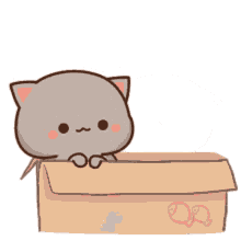 Simple shapes, as in draw a u shape or draw an oval, etc. Cat Cartoon Gifs Tenor