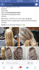 Pin By Yulia Milkova On 1 Aveda Hair Color Aveda Hair Hair Color Formulas