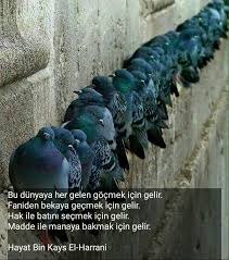 Garip Garip Adli Kullanicinin Olumde Var Panosundaki Pin Ozlu Sozler Islam Bilgece Sozler