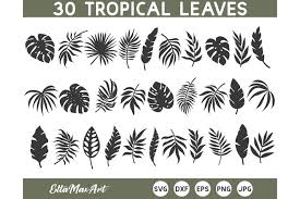 Download Tropical Leaves Svg Bundle Palm Leaves Svg Jungle Leaves 645836 Illustrations Design Bundles