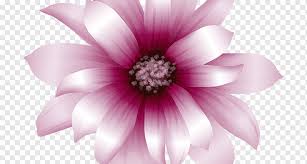 We did not find results for: Pink Flowers Coral Pink Gerbera Annual Plant Flower Magenta Png Pngwing