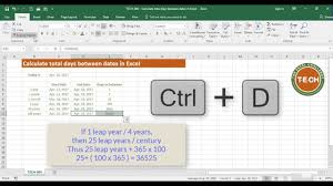 Pin By Ririn Nazza On Excel Hacks Sample Resume Templates Excel Hacks Resume Design Template