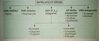 Pin On Pharmacology