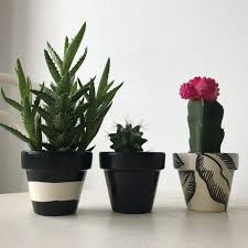 Black And White Pots For Plants Black White Leaf Mini Pots Set Of 3 Painted Plant Pots White Leaf Decorating Terra Cotta Pots