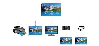 Image result for Computers Software Graphics Color Management