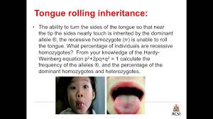 Genetics Of Inheritance Tongue Rolling