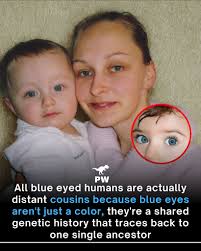 Every pair of blue eyes