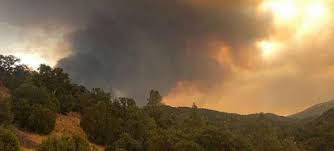 If you wish to recycle your old smoke detectors, there is one program that will do so, run by curie environmental services. Santa Clara County Opens Resource Hub For Fire Evacuees San Jose Inside