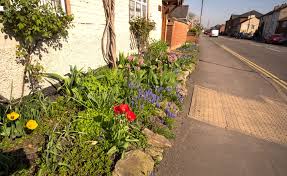 Maybe you would like to learn more about one of these? 4 Best Plants For Small Narrow Garden Borders Horticulture