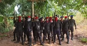 The proscribed indigenous people of biafra (ipob) has described as shameful claims by the imo state governor, hope uzodinma that it hijacked eastern security network … Killings Triple In The South East After Ipob Launched Esn Is This An Insurgency Thecable
