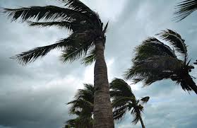 The legislature finds that the provision of adequate windstorm and hail insurance is necessary to the economic welfare of this state, and without that insurance, the. Texas Windstorm Insurance Rates Deemed Inadequate