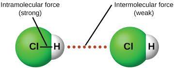 Inter vs intra companyall education. Chemical Bonding Intramolecular And Intermolecular Bonds