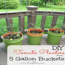 That makes growing very many plants pretty expensive. Diy Tomato Planters From 5 Gallon Buckets Busy Bliss Tomato Planter Container Gardening Vegetables Tomato Garden