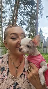 Let me introduce Yasmin, she is my 5 year old chihuahua x Chinese hairless  crest