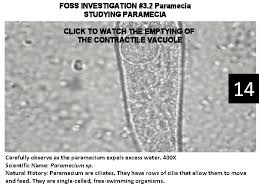 Is the paramecium a unicellular or multicellular organism. Plants Week 4 Booklet Living Vs Nonliving Foss