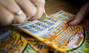 Il tabaccaio colpevole del furto del gratta e vinci da 500mila euro, avvenuto durante la mattinata dello scorso venerdì 3 settembre ai danni di . 2hrxv8uiugi 6m