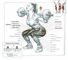 Gives a hint to strong muscles, big body, and gym equipment. Muscles Involved In The Squat All About Powerlifting Squats Powerlifting Barbell Squat