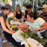Crop Swap at La Madera Community Garden