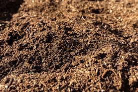 Buy & sell acidic soil from urza's saga in europe's largest online marketplace for magic: Methods For Increasing Soil Acidity