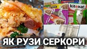 Лола азизова эй чуни чунам биби подписаться ва лайки худро гузоред. Vlog Sauna Omadem Kathoi Chubin 5 05 2020