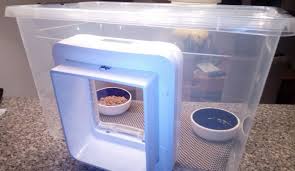 Feeds only a few cats at a time; Best Outside Cat Feeding Station Ideas You Can Try