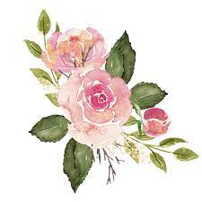 Watercolor Roses Png Free Matting Download Original Version On Heypik Com Heypik Png Image Cool Effect Beautiful Ba Desenho Rosas Foto Papel De Parede