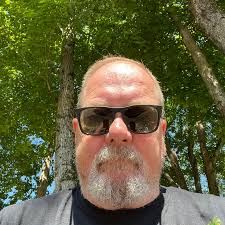 Are orioles transient birds?