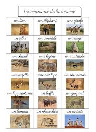 Hs Na Y4gbjwzs9ygngryrs6siq Png 546 747 Pixels Hsnay4gbjwzs9ygngryrs6siqpng Pixels Animaux De La Savane Animaux Afrique Animaux _ buffle et paon à colorier et à décorer. animaux de la savane animaux afrique
