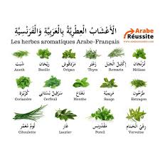 Pin By Zhour On Apprendre L Arabe Learning Arabic Learn Arabic Online Learn Arabic Alphabet
