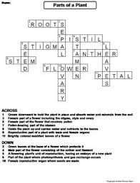 These white flowers live in water on their leafy green pads. Parts Of A Plant Worksheet Crossword Puzzle By Science Spot Tpt