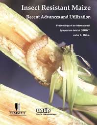 Diagnosing maize diseases in latin america, 9. Insect Resistant Maize Recent Advances And Utilization Cimmyt