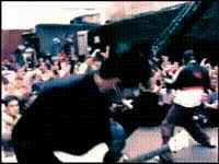 5.0 / 5 (5 x) rate this tab: Limp Bizkit Nookie Yarn Search