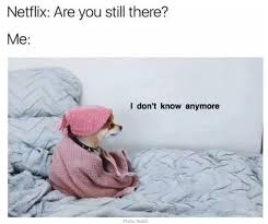 Check spelling or type a new query. Dog Losing His Mind Watching Netflix Netflix Know Your Meme