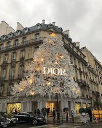 Priscilla Saint Laurent Tumblr Dior Store Classy Aesthetic Luxury Store