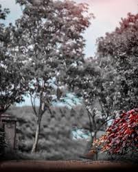 Background Images For Picsart Picsart Background Hd Images Download Zip Background Love Background Images Light Background Images Background For Photography