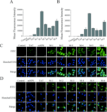 Convert 40000 indian rupee(inr) to other currencies. Self Assembling Modified Neuropeptide S Enhances Nose To Brain Penetration And Exerts A Prolonged Anxiolytic Like Effect Biomaterials Science Rsc Publishing Doi 10 1039 D1bm00380a