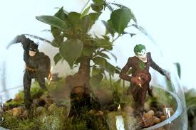 Pin By Richard Radke On Little Lands Little Land Mini Garden Terrarium