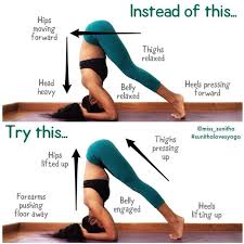 Sunitha Miss Sunitha On Somegram Posts Videos Stories Somegram Learning To Press Up Into A Headstand Isn T An Easy Thing Hard Yoga Yoga Poses Yoga Help