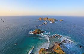 Lord howe island is a community of travel enthusiasts, residents, visitors (past and present) and fa. Lord Howe Island A Natural Paradise