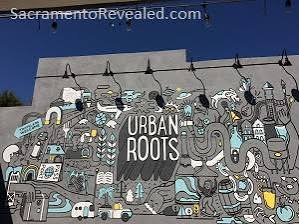 Urban Roots Brewing and Smokehouse - SacramentoRevealed.com