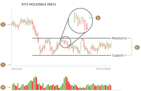 Knowing Stocks Inside Out Dbs Treasures