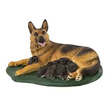 German shepherd · fouke, ar. Buy German Shepherd With Puppies Online At Low Prices In India Amazon In